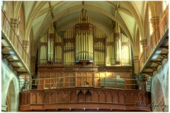 IMG-20210508-WA00271